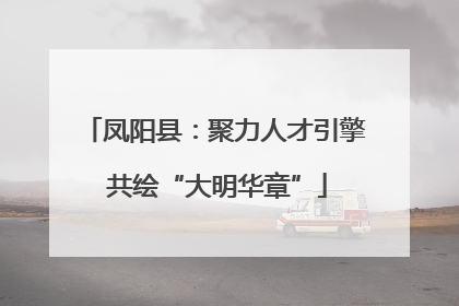 凤阳县：聚力人才引擎 共绘“大明华章”