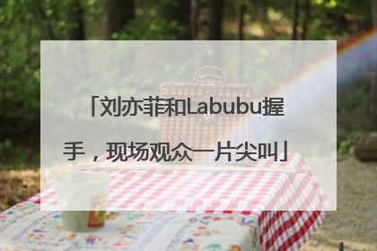 刘亦菲和Labubu握手，现场观众一片尖叫
