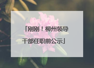 刚刚！柳州领导干部任职前公示