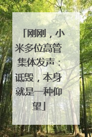 刚刚，小米多位高管集体发声：诋毁，本身就是一种仰望