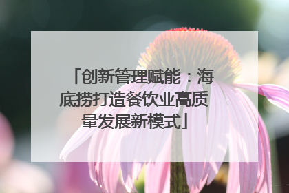 创新管理赋能：海底捞打造餐饮业高质量发展新模式