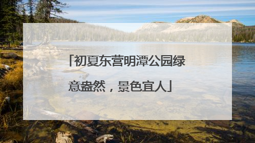 初夏东营明潭公园绿意盎然，景色宜人
