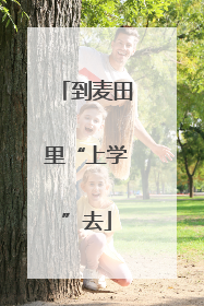到麦田里“上学”去