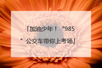 加油少年！“985”公交车带你上考场