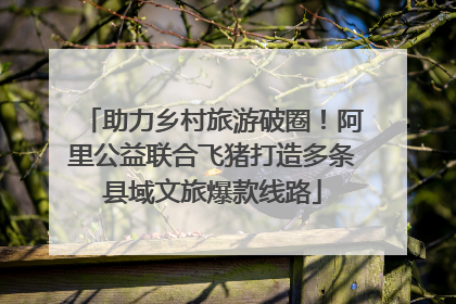 助力乡村旅游破圈！阿里公益联合飞猪打造多条县域文旅爆款线路