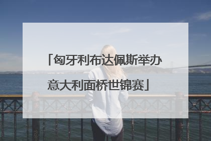 匈牙利布达佩斯举办意大利面桥世锦赛