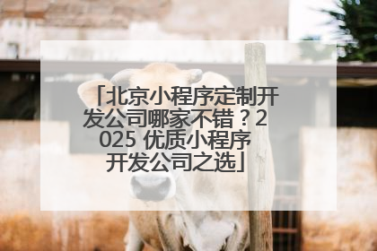 北京小程序定制开发公司哪家不错？2025 优质小程序开发公司之选