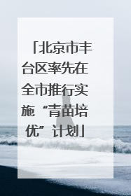 北京市丰台区率先在全市推行实施“青苗培优”计划