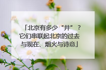 北京有多少“井”？它们串联起北京的过去与现在、烟火与诗意