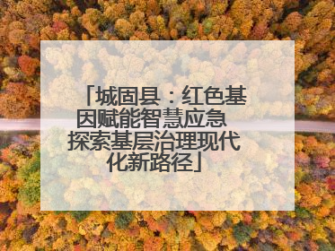 城固县：红色基因赋能智慧应急 探索基层治理现代化新路径