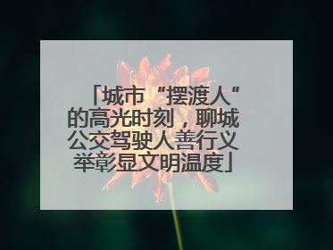 城市“摆渡人”的高光时刻，聊城公交驾驶人善行义举彰显文明温度