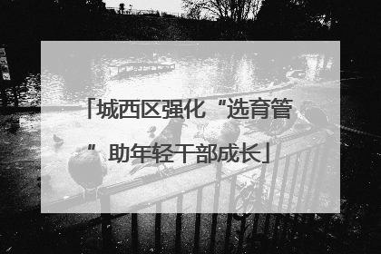 城西区强化“选育管”助年轻干部成长