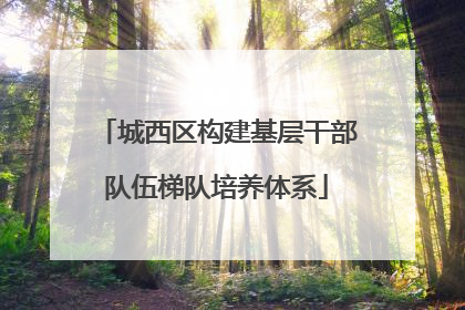 城西区构建基层干部队伍梯队培养体系