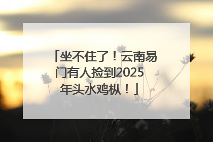 坐不住了！云南易门有人捡到2025年头水鸡枞！
