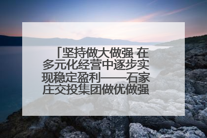 坚持做大做强 在多元化经营中逐步实现稳定盈利——石家庄交投集团做优做强典型报道之三