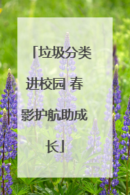 垃圾分类进校园 春影护航助成长
