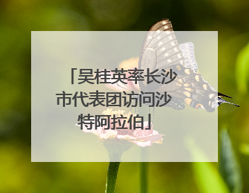吴桂英率长沙市代表团访问沙特阿拉伯