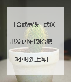 合武高铁：武汉出发1小时到合肥3小时到上海
