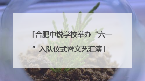 合肥中锐学校举办“六一”入队仪式暨文艺汇演