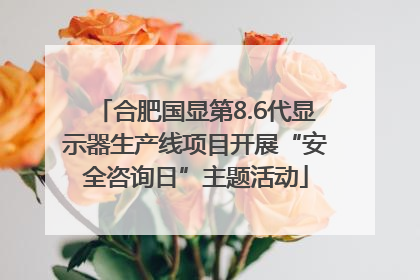 合肥国显第8.6代显示器生产线项目开展“安全咨询日”主题活动
