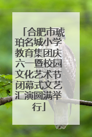合肥市琥珀名城小学教育集团庆六一暨校园文化艺术节闭幕式文艺汇演圆满举行