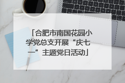 合肥市南国花园小学党总支开展“庆七一”主题党日活动