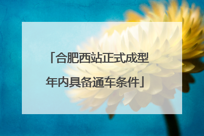 合肥西站正式成型 年内具备通车条件