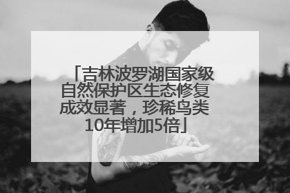 吉林波罗湖国家级自然保护区生态修复成效显著，珍稀鸟类10年增加5倍