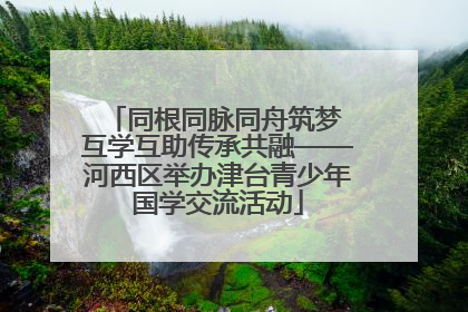 同根同脉同舟筑梦 互学互助传承共融——河西区举办津台青少年国学交流活动