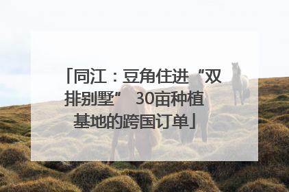 同江：豆角住进“双排别墅” 30亩种植基地的跨国订单