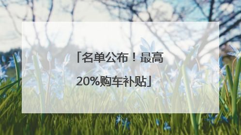 名单公布！最高20%购车补贴