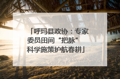 呼玛县政协：专家委员田间“把脉” 科学施策护航春耕