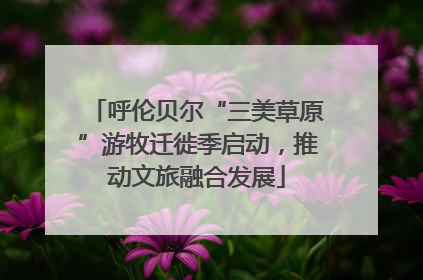 呼伦贝尔“三美草原”游牧迁徙季启动，推动文旅融合发展