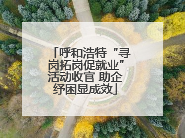 呼和浩特“寻岗拓岗促就业”活动收官 助企纾困显成效
