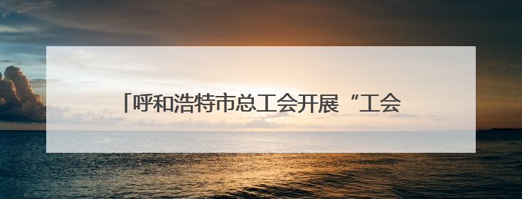 呼和浩特市总工会开展“工会促消费 会员享普惠”活动