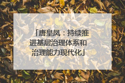 唐皇凤：持续推进基层治理体系和治理能力现代化