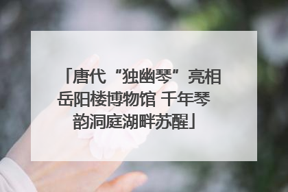 唐代“独幽琴”亮相岳阳楼博物馆 千年琴韵洞庭湖畔苏醒