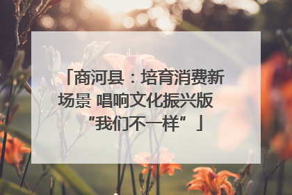 商河县：培育消费新场景 唱响文化振兴版“我们不一样”