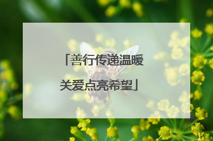 善行传递温暖 关爱点亮希望