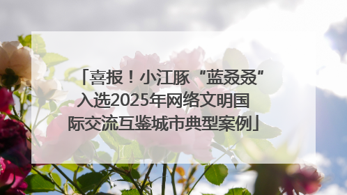 喜报！小江豚“蓝叒叒”入选2025年网络文明国际交流互鉴城市典型案例
