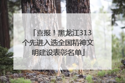 喜报！黑龙江313个先进入选全国精神文明建设表彰名单