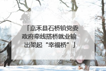 嘉禾县石桥镇党委政府牵线搭桥就业输出架起“幸福桥”