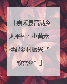 嘉禾县普满乡太平村：小菌菇撑起乡村振兴“致富伞”