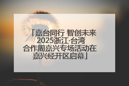 嘉台同行 智创未来 2025浙江·台湾合作周嘉兴专场活动在嘉兴经开区启幕