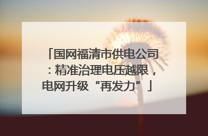 国网福清市供电公司：精准治理电压越限，电网升级“再发力”