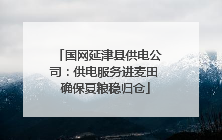 国网延津县供电公司：供电服务进麦田 确保夏粮稳归仓