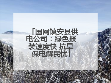 国网镇安县供电公司：绿色报装速度快 抗旱保电解民忧
