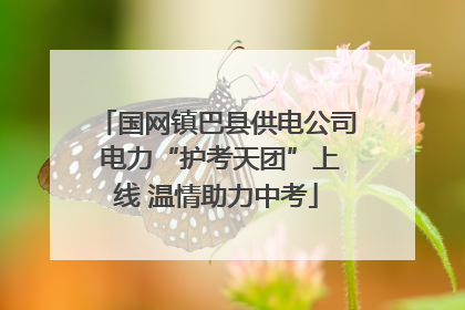 国网镇巴县供电公司 电力“护考天团”上线 温情助力中考