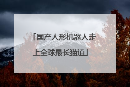 国产人形机器人走上全球最长猫道