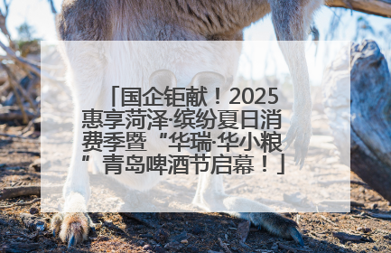 国企钜献！2025惠享菏泽·缤纷夏日消费季暨“华瑞·华小粮”青岛啤酒节启幕！